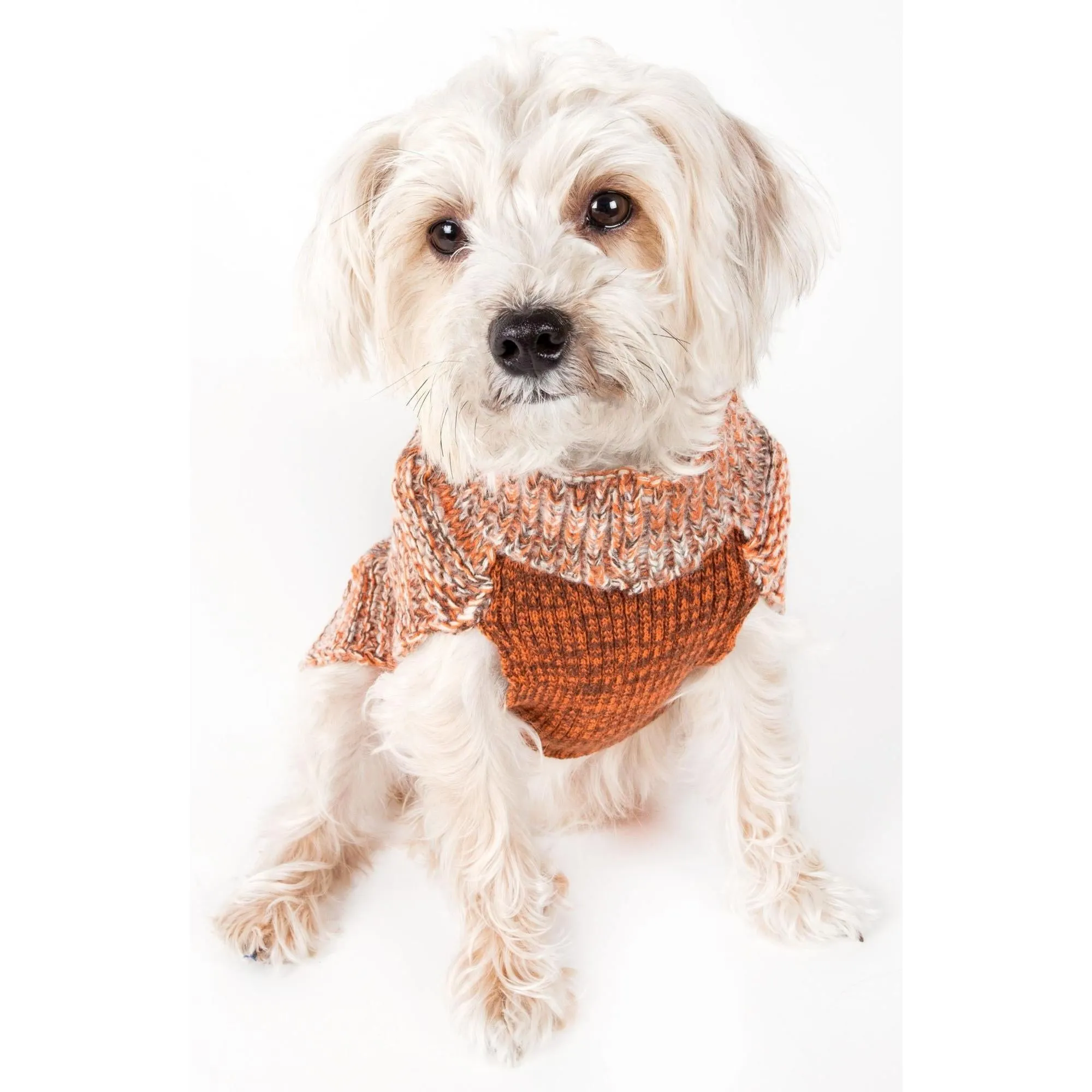 Designer Dog Sweater
